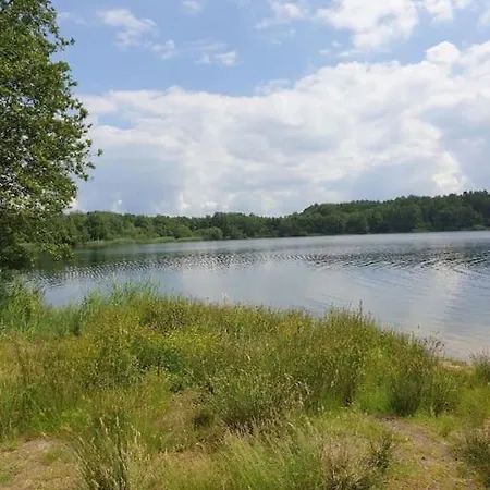 Dom wakacyjny Traum-Ferienhaus Mit Privatem Seezugang, Sauna, Strand, Wassersport, Sup Barssel (Cloppenburg)
