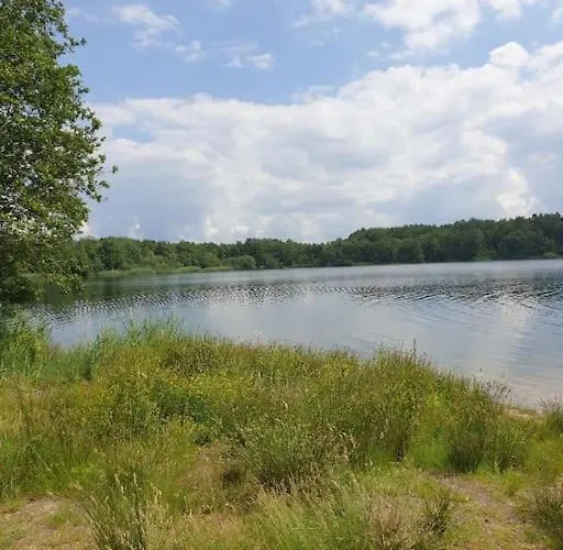 Hébergement de vacances Mit Privatem Seezugang, Sauna, Strand, Wassersport, Ruderboot, Stand Upp Barssel (Cloppenburg)